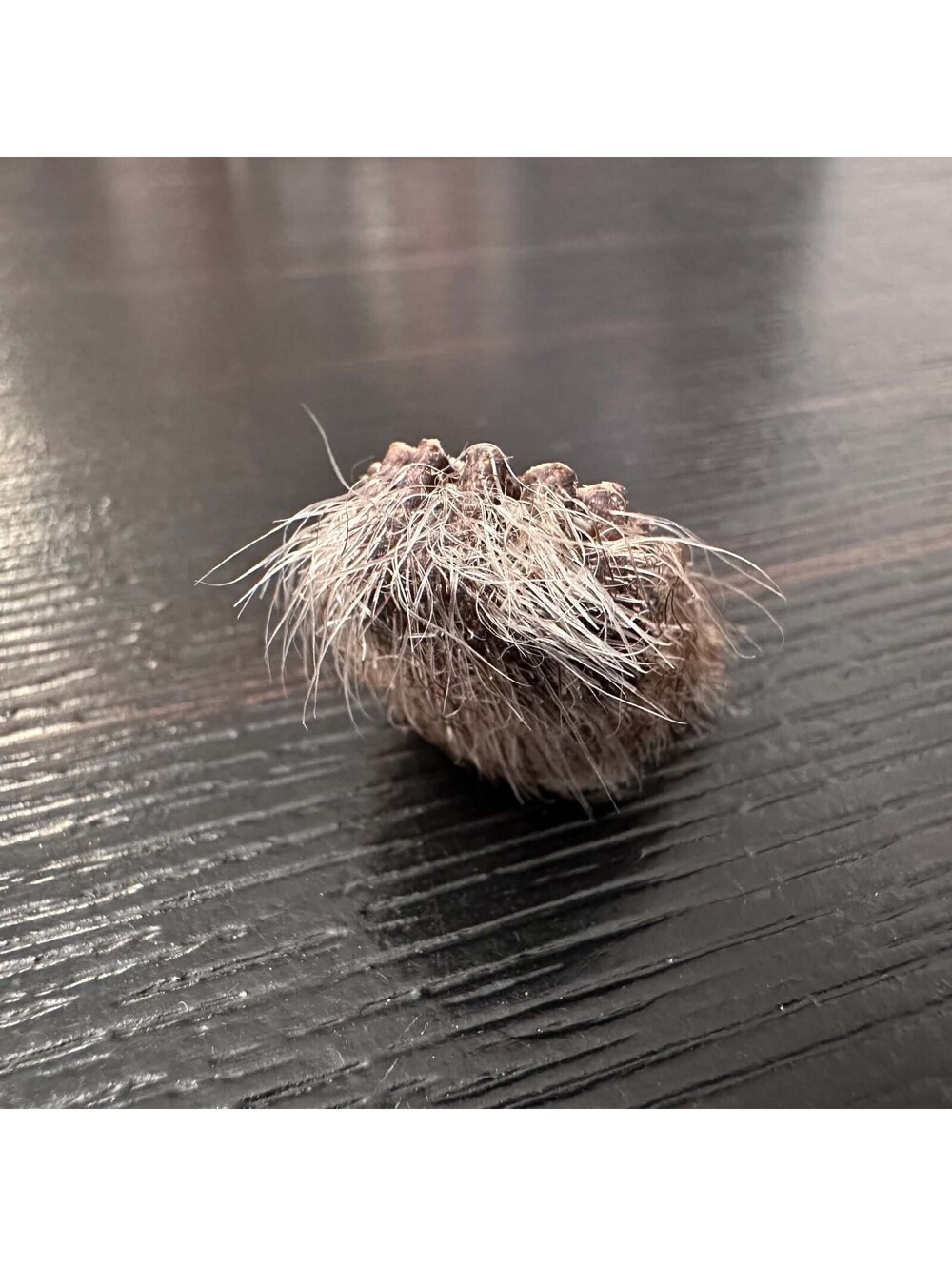 Vintage Fur Thimble Faux Fur Leather Novelty Collectible EUC